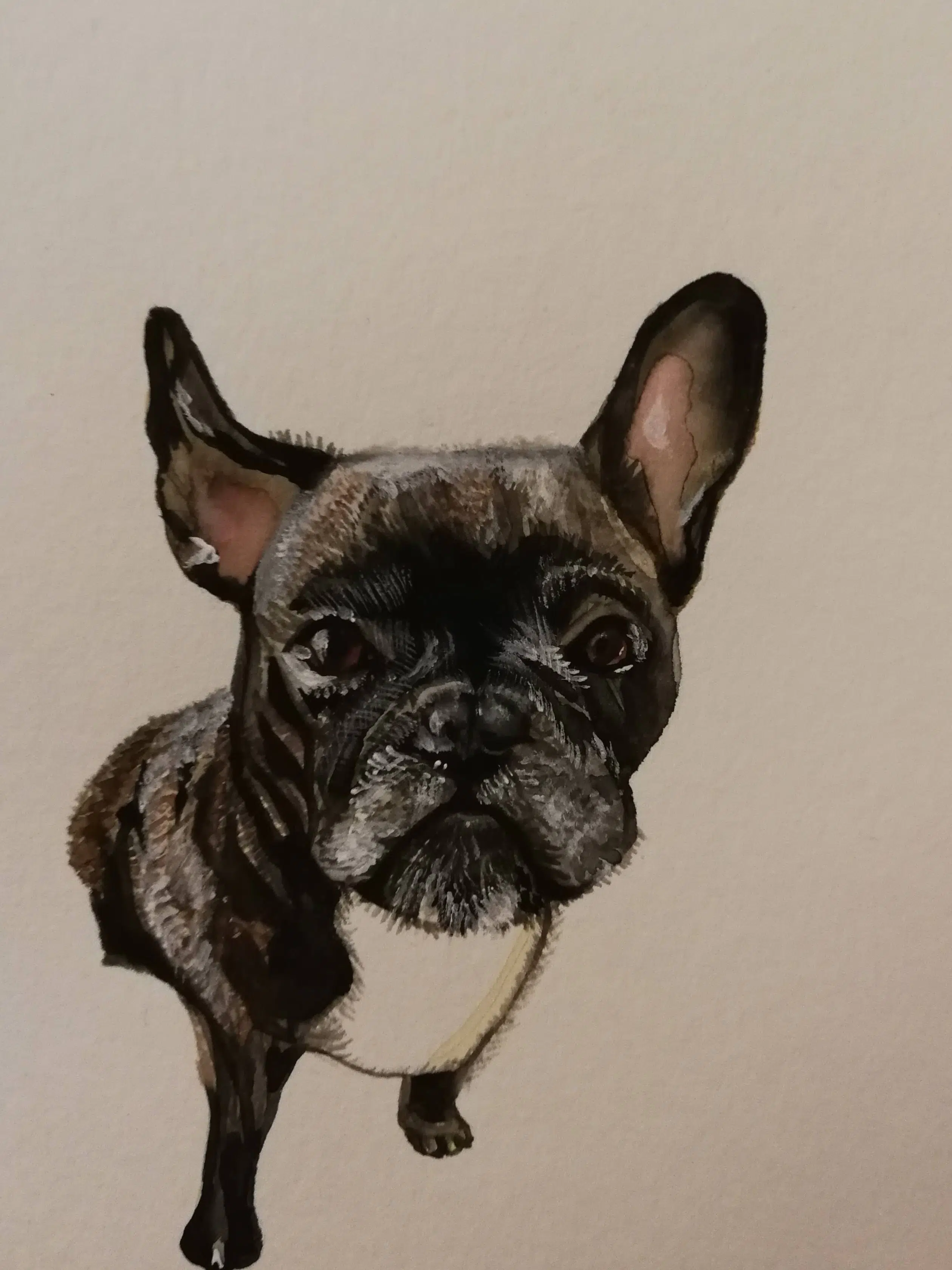 peinture portrait de chien bouledogue