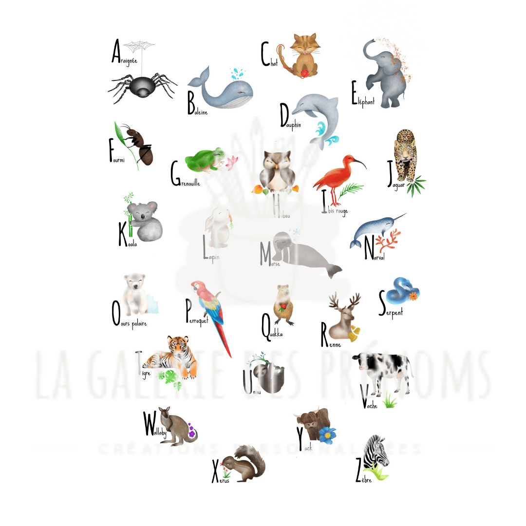 alphabet animaux