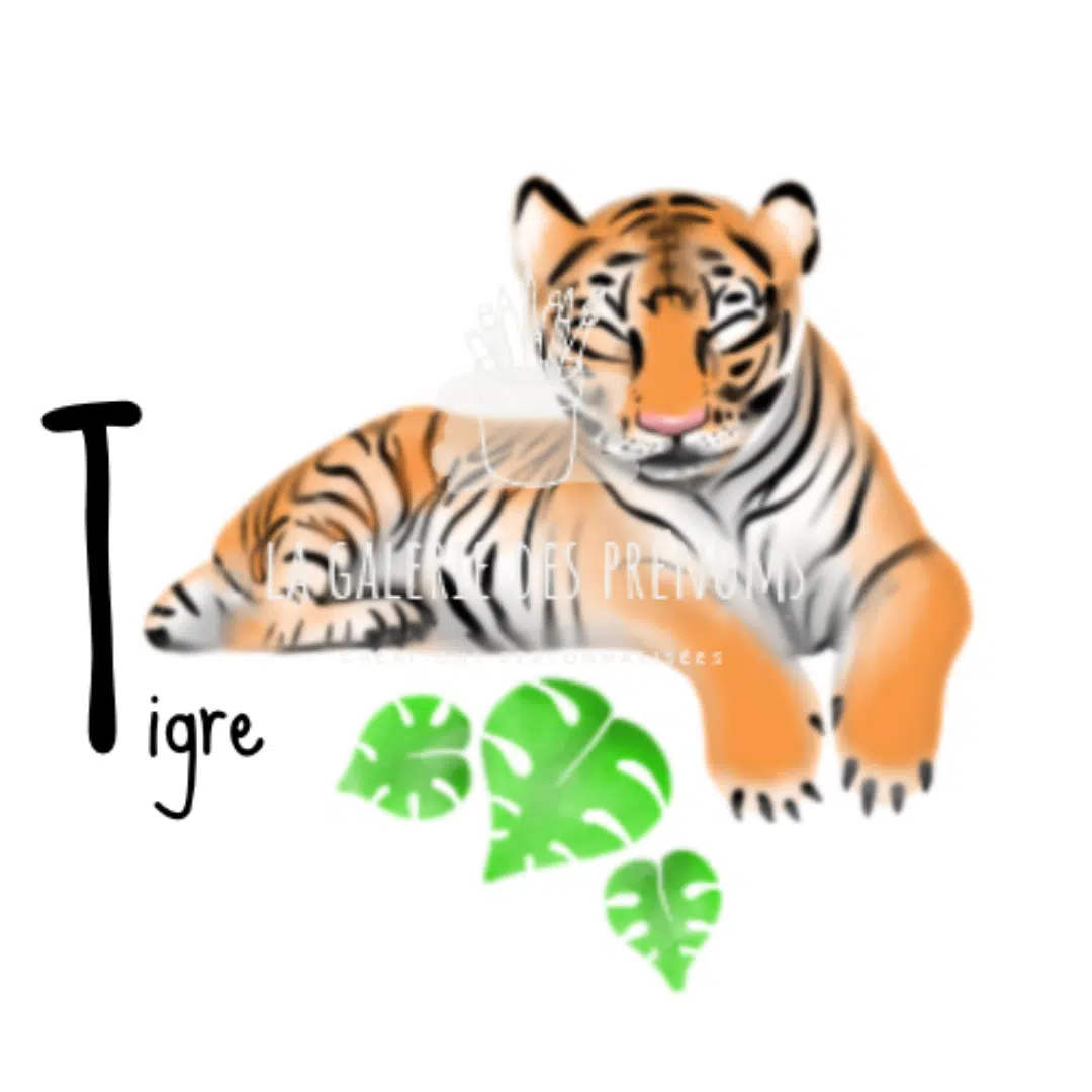 le tigre pour le t de l'alphabet