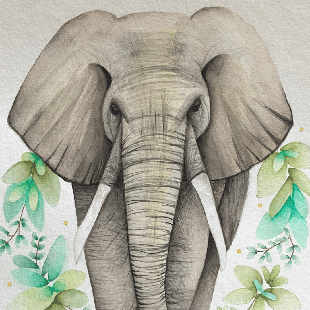 elephant aquarelle réaliste