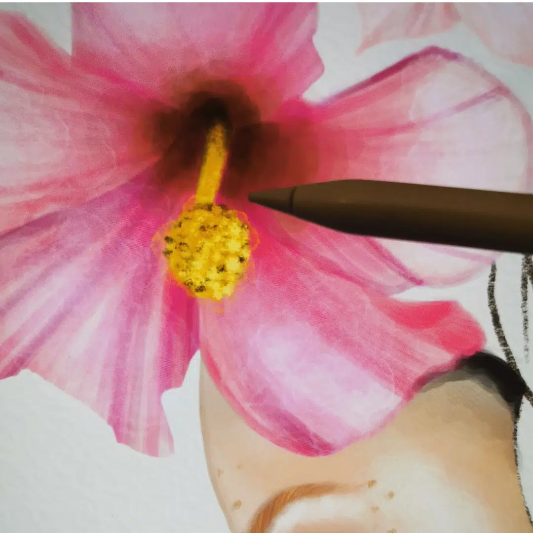 dessin ipad fleur hibiscus